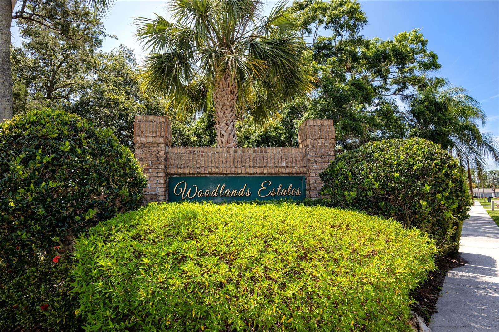 East Lake Woodlands