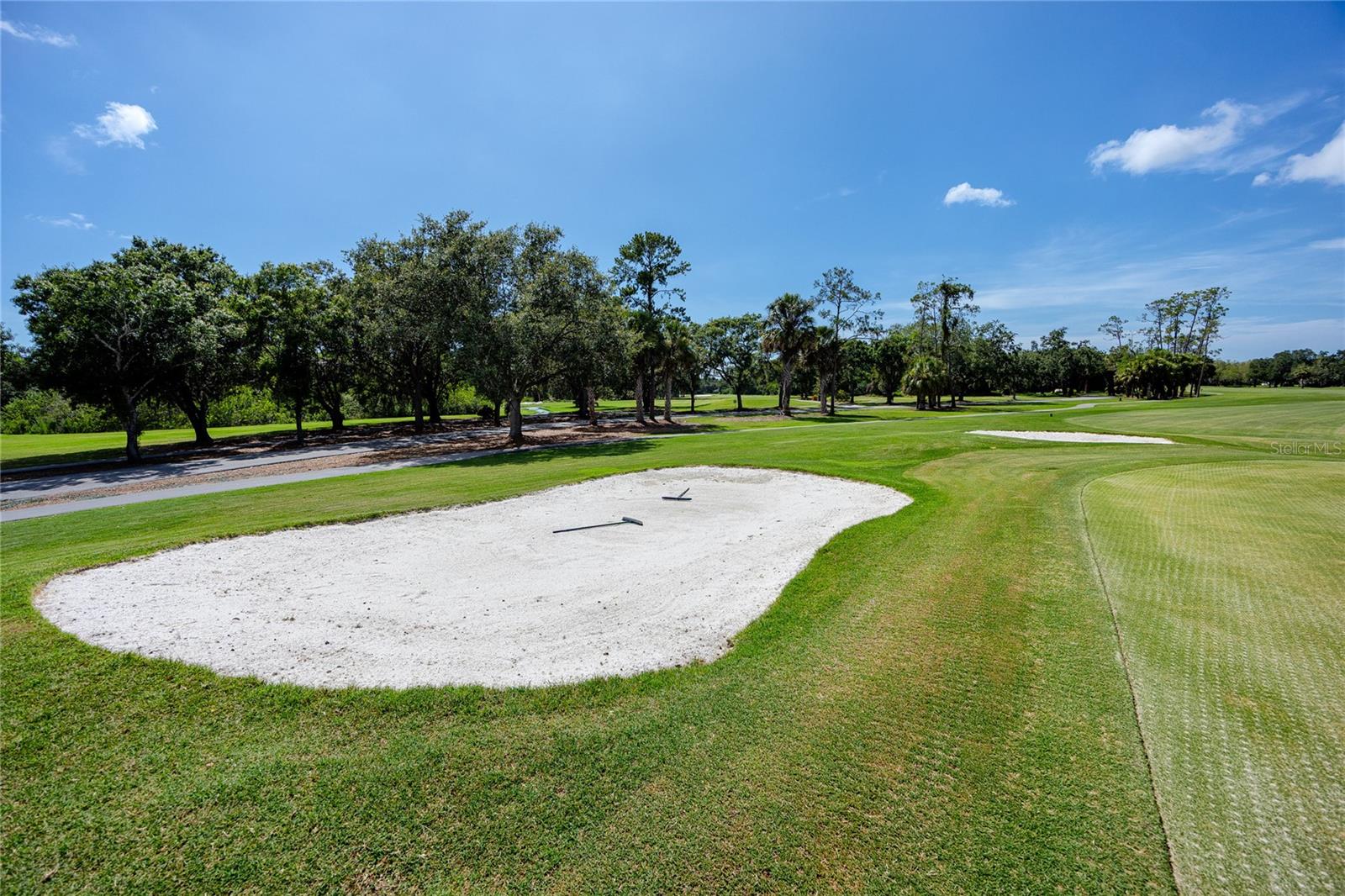 East Lake Woodlands Golf