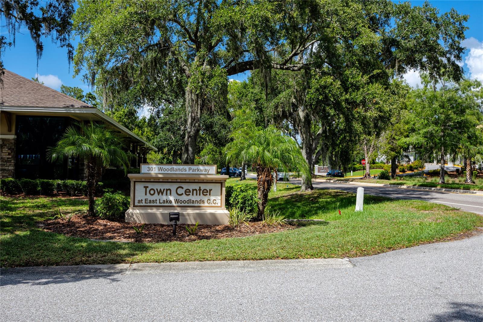 East Lake Woodlands