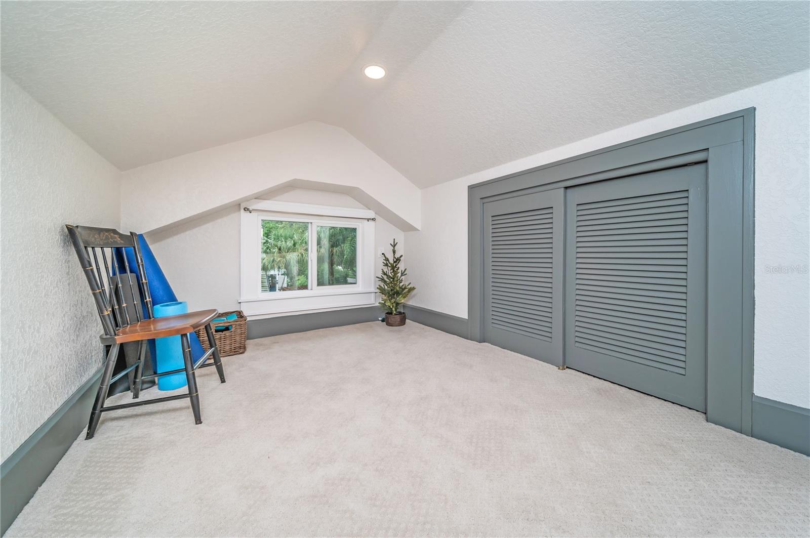 Bonus Room Attic Area