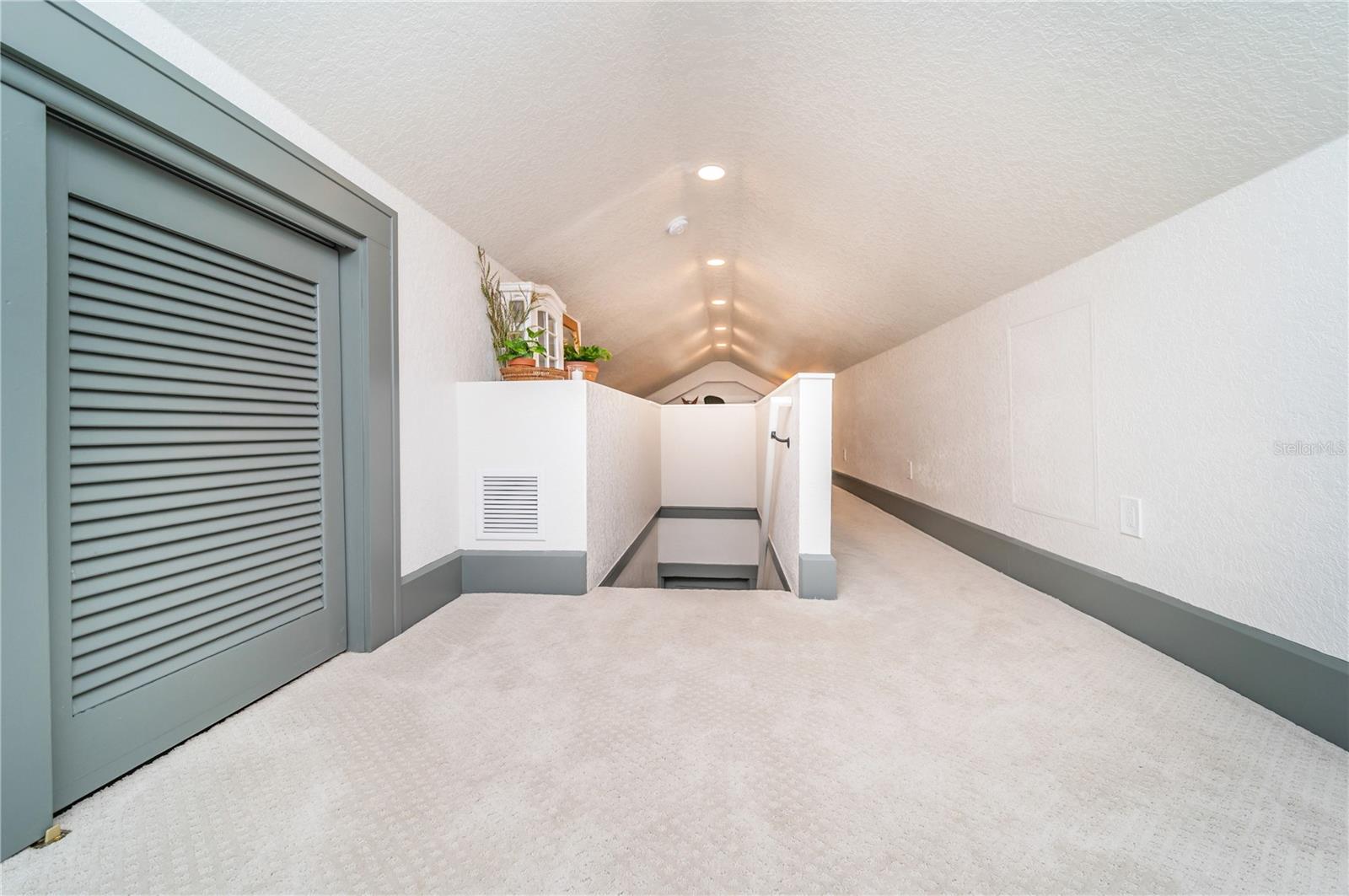 Bonus Room Attic Area