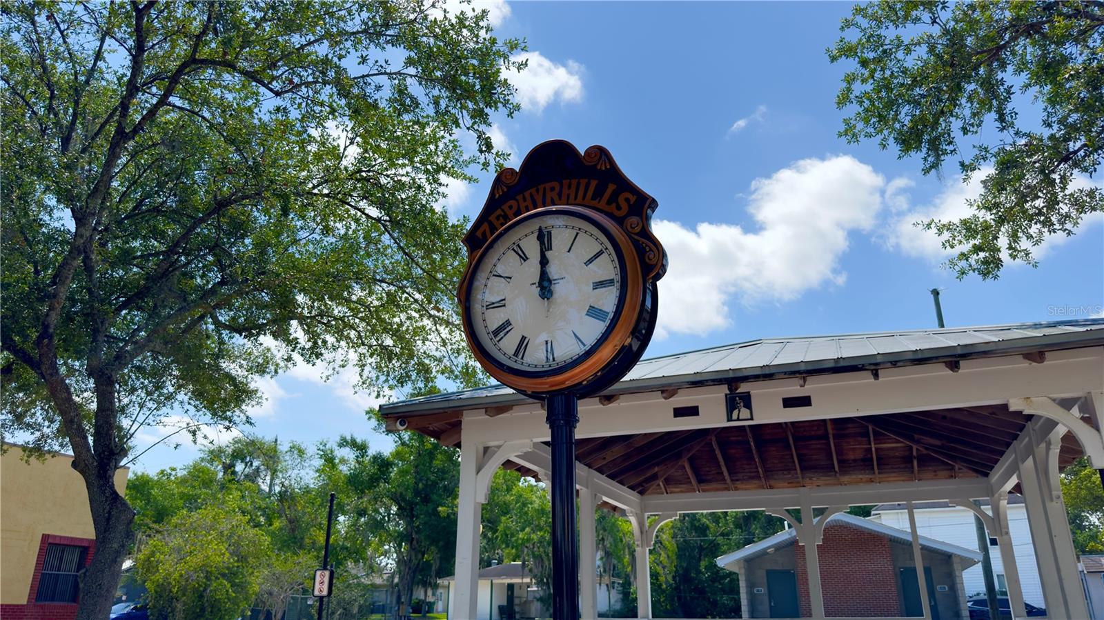 Community Photos of Downtown Zephyrhills reflective of community