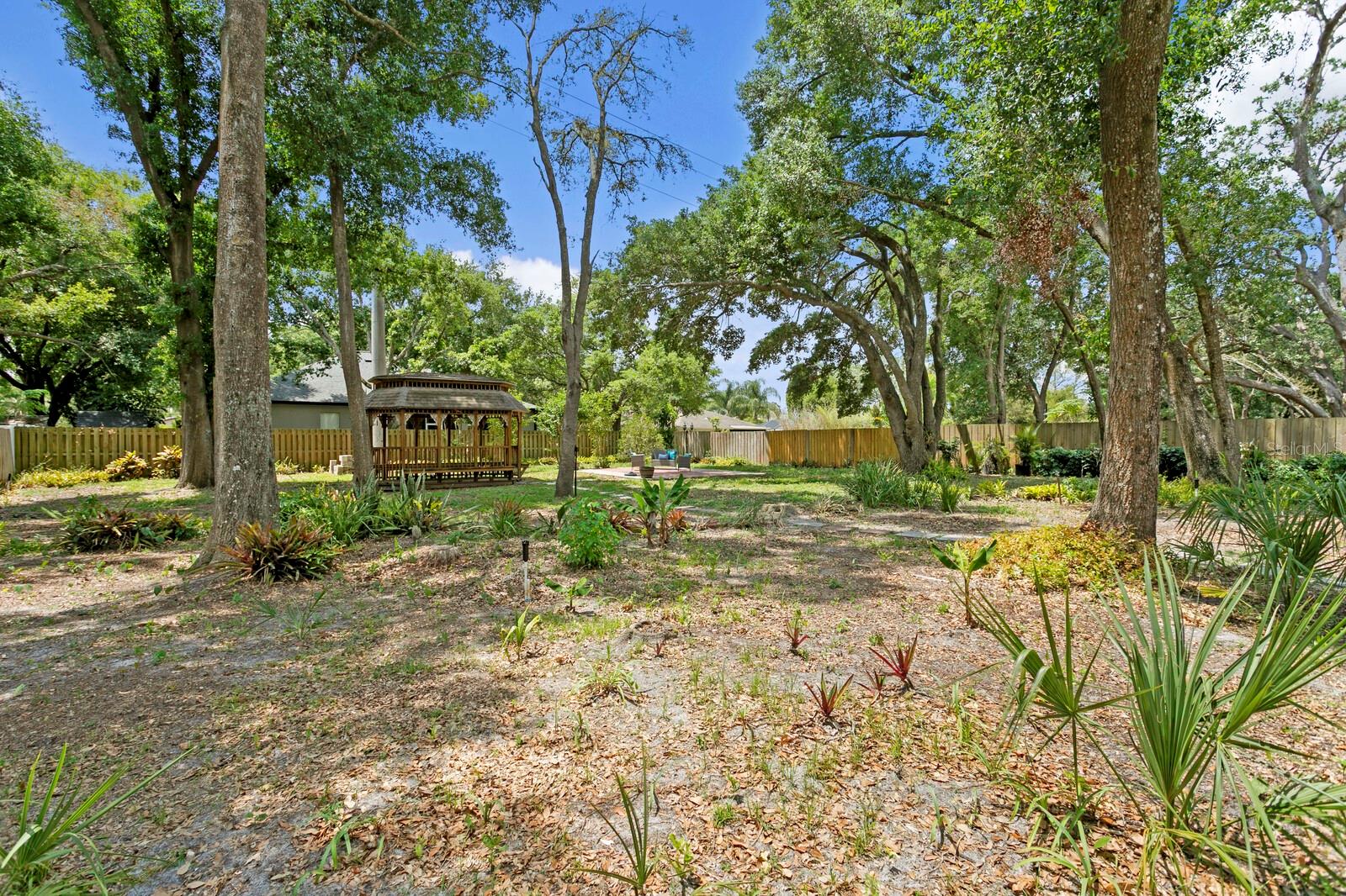 Backyard.44 Acre Lot