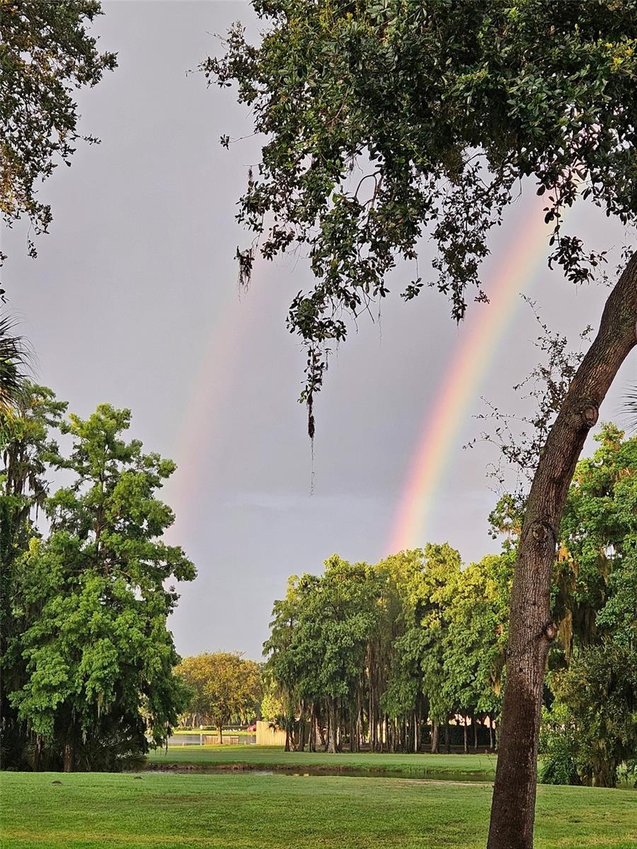 Double Rainbow over Innisbrook.
