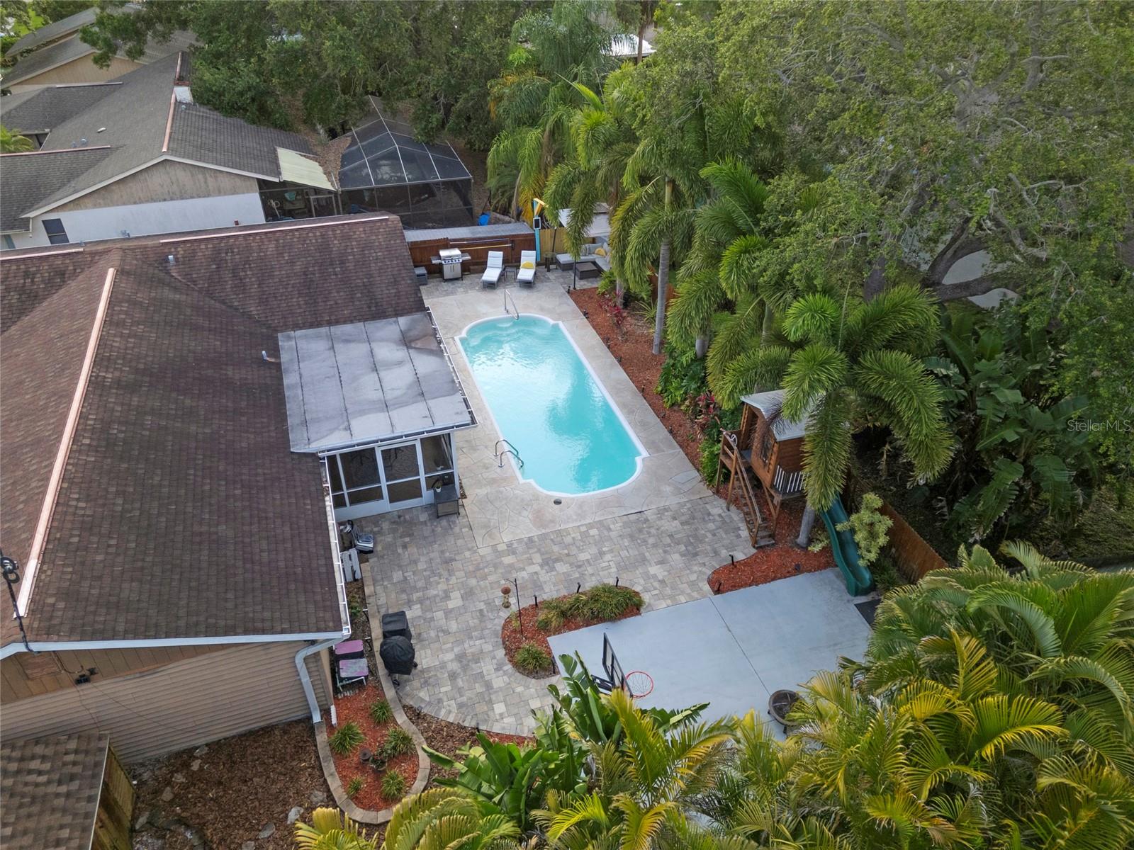 Backyard Oasis!