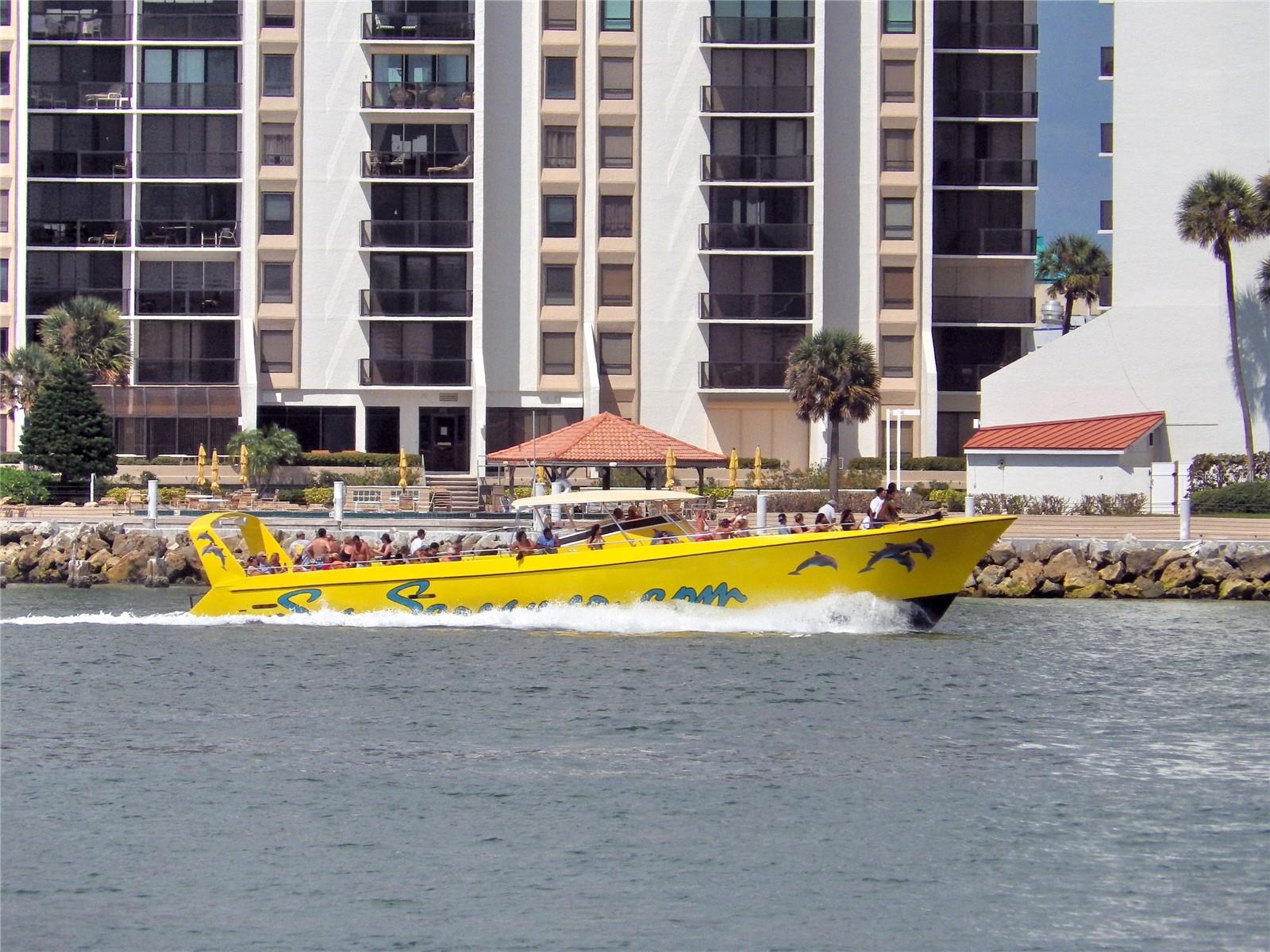Nearby marina with Dolphin tours