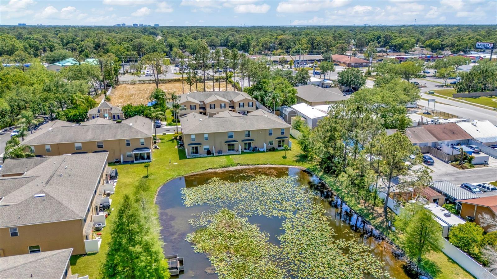 Pond and back view