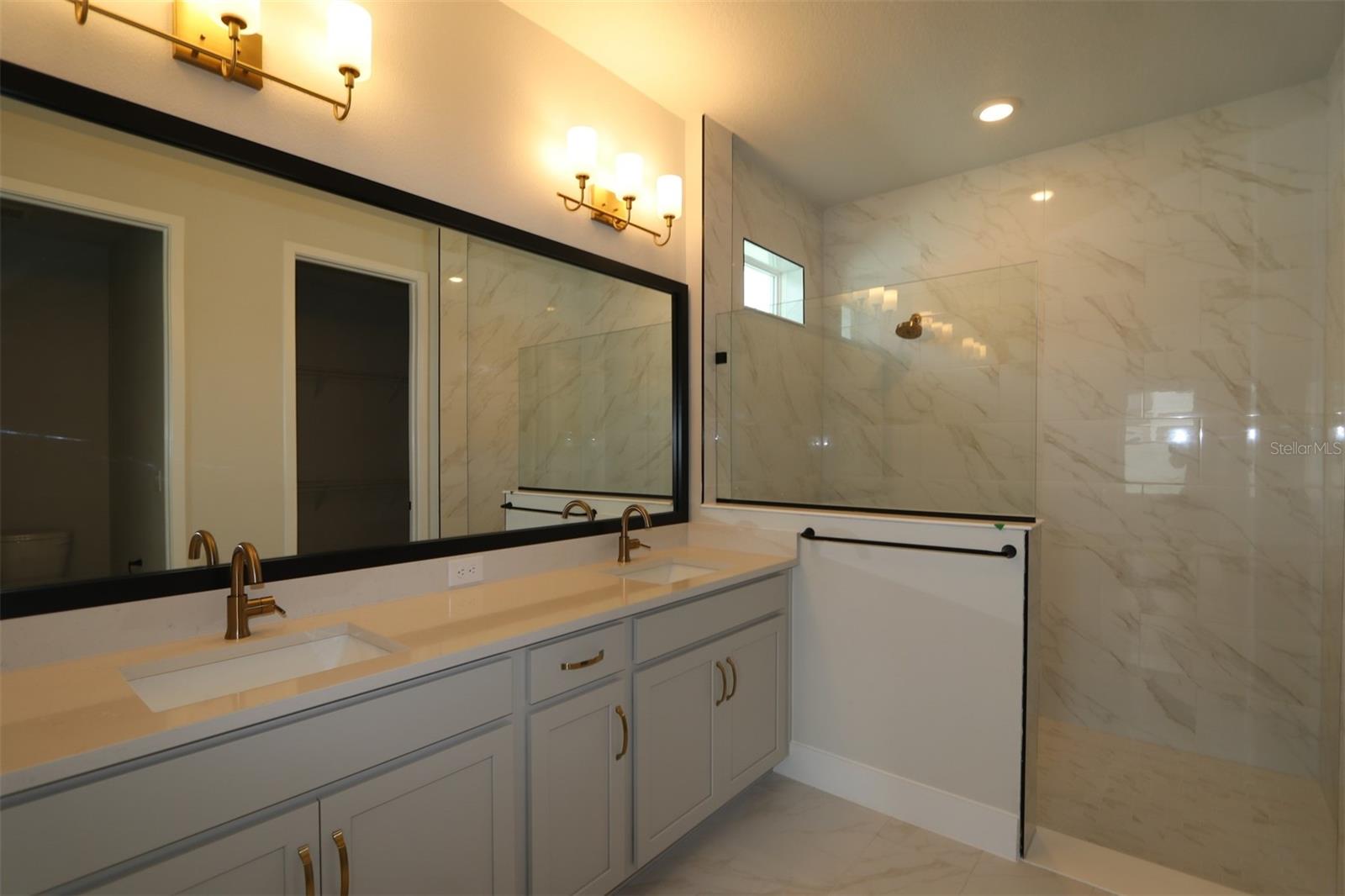 Owner's Bath