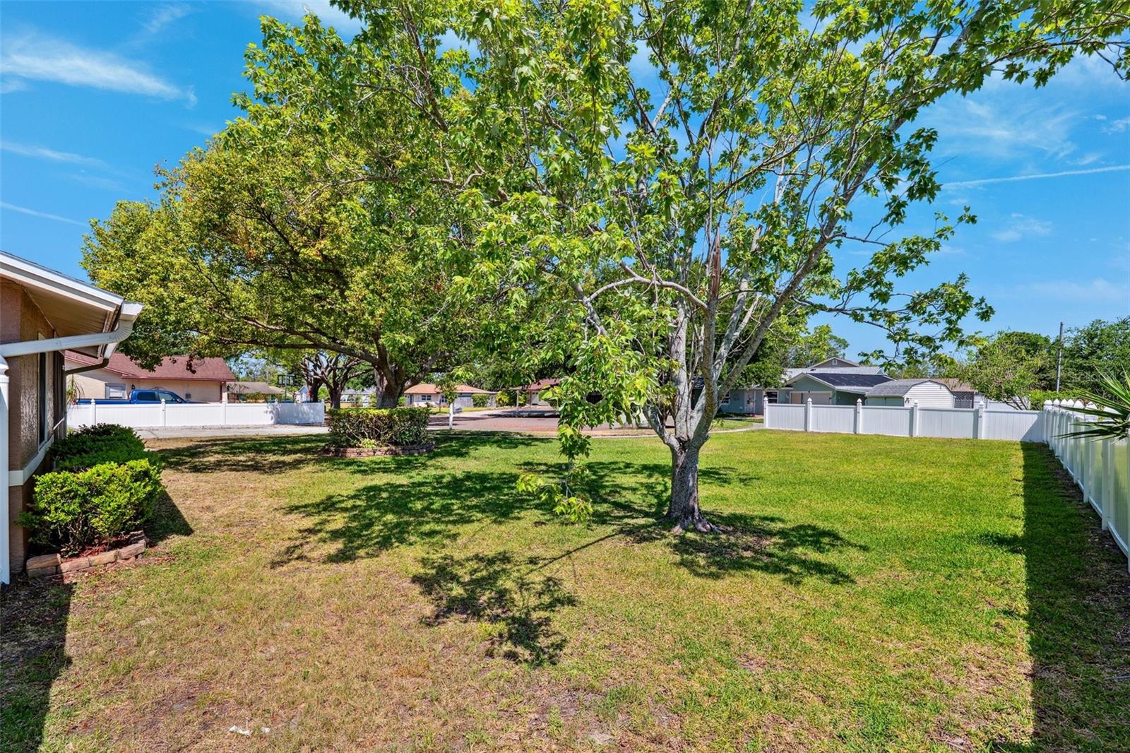 Large yard