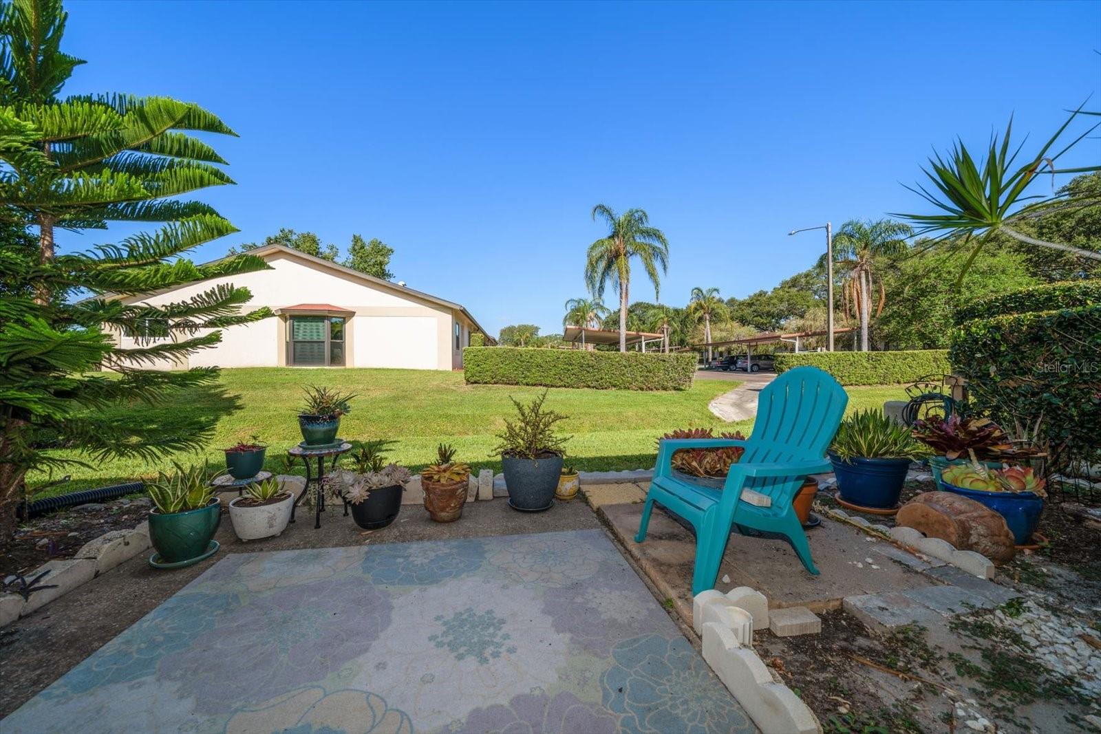 Back patio