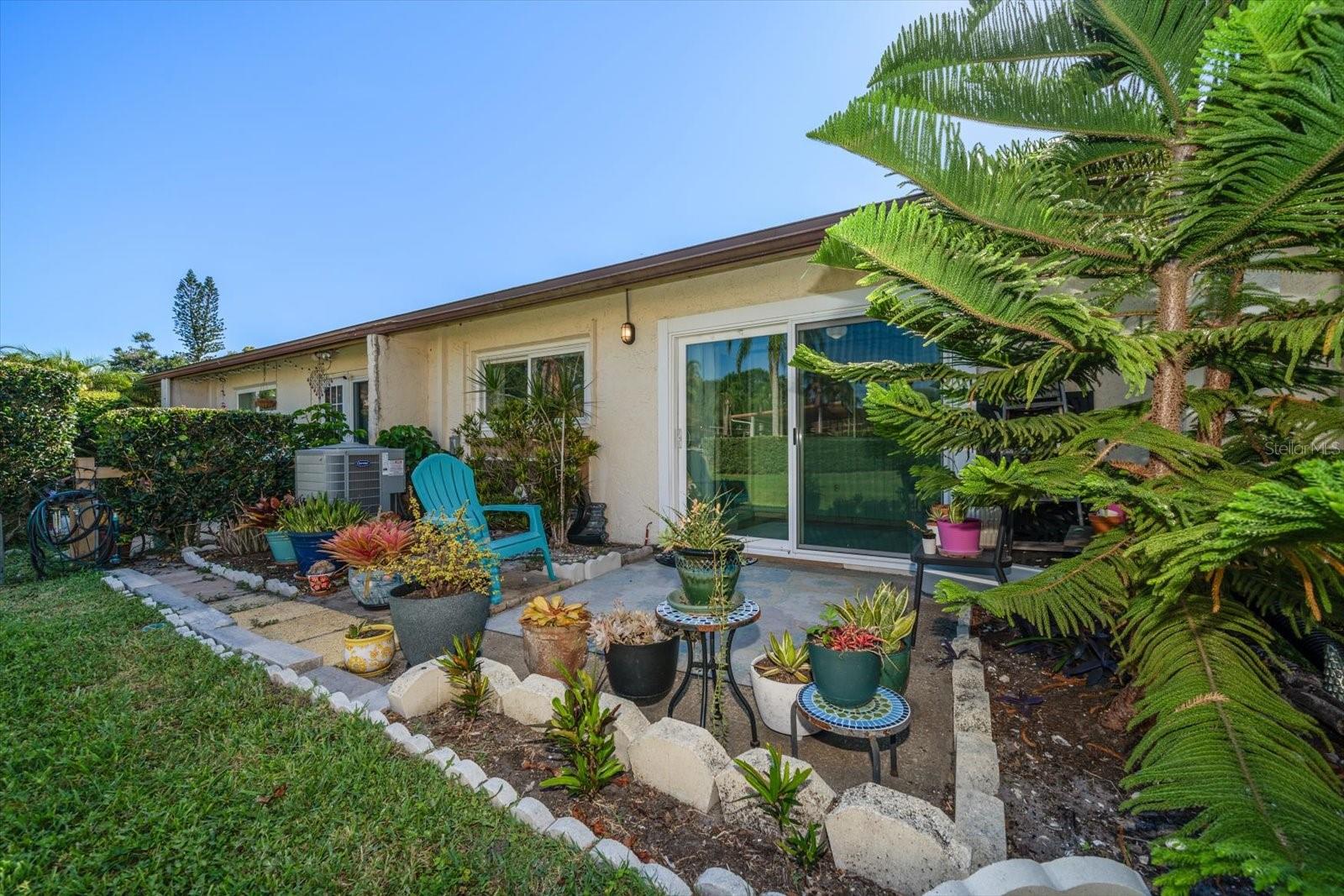 Back patio