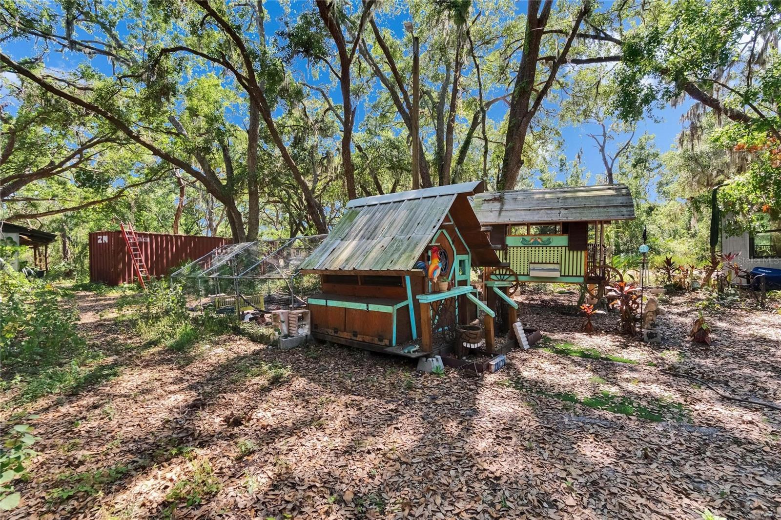 Two custom-made chicken coops with egg producing chickens galore