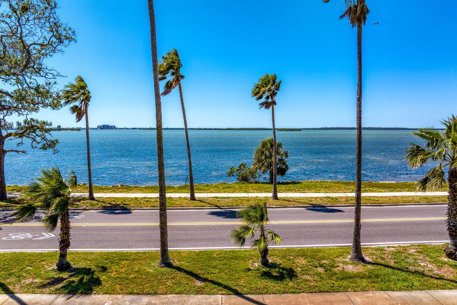 View from Balcony