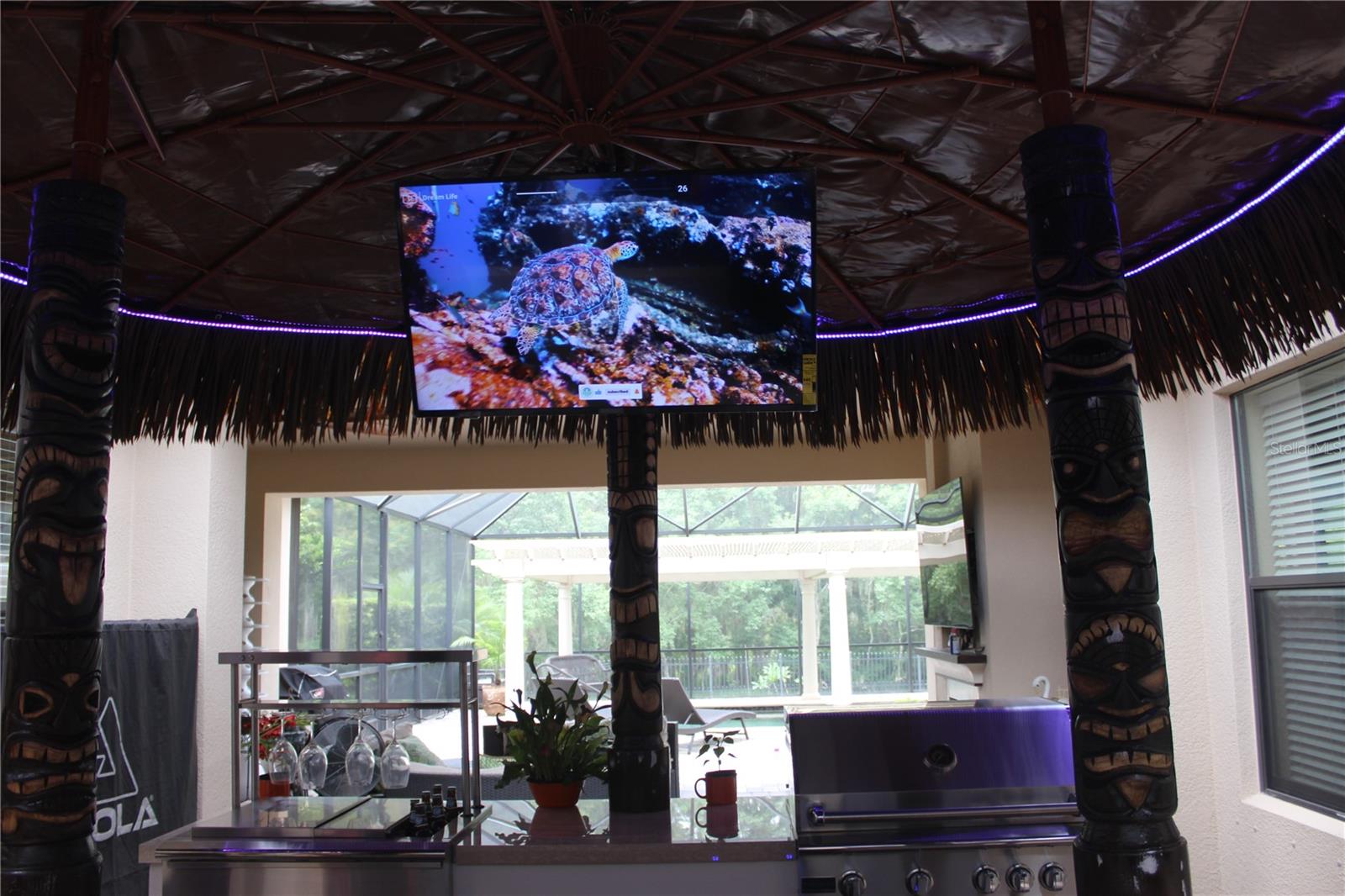 out door kitchen in Tiki Hut