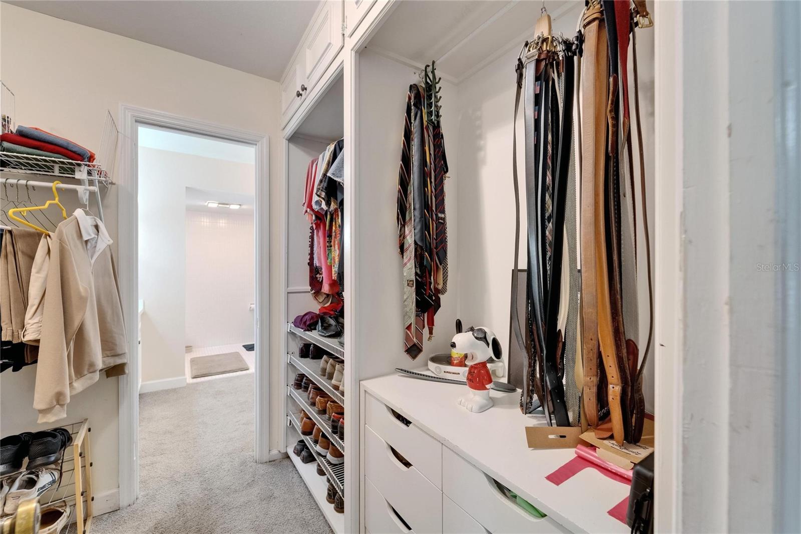 Oversized Walk-in Closet with built-in storage