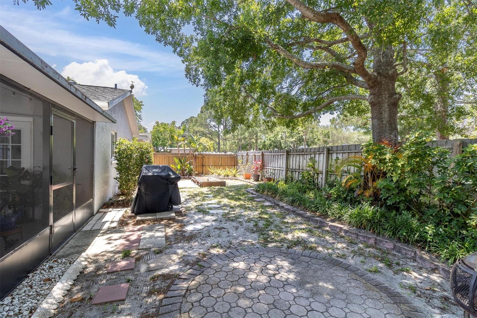 Back yard