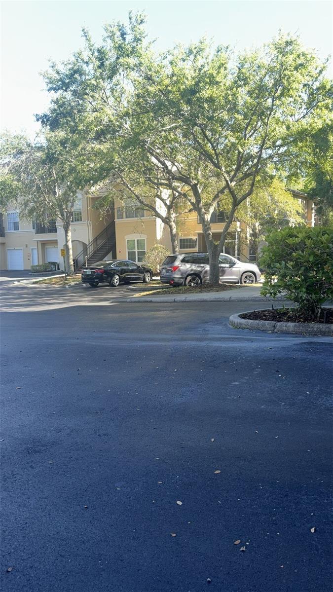 O6300166