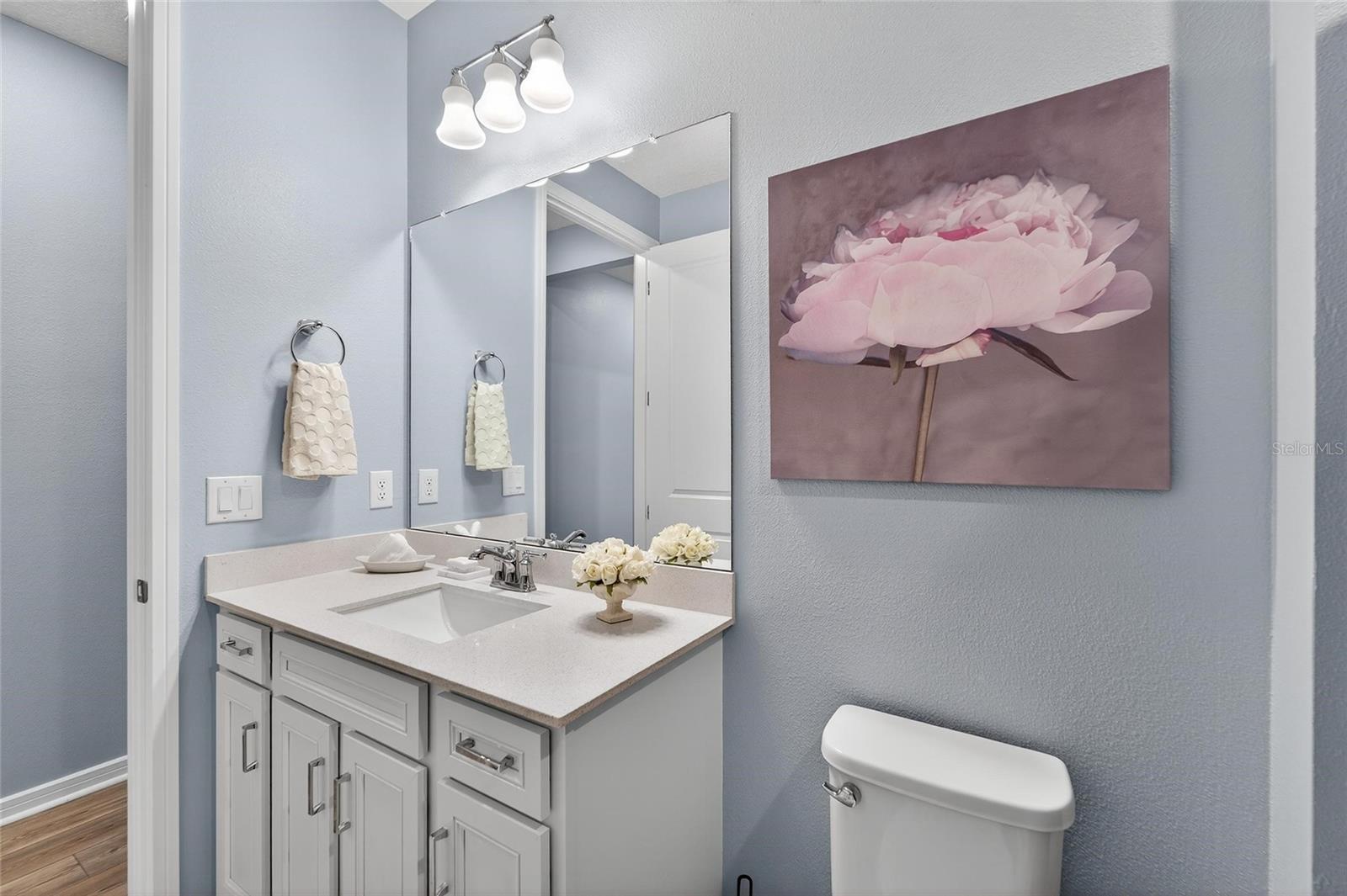 Guest bathroom