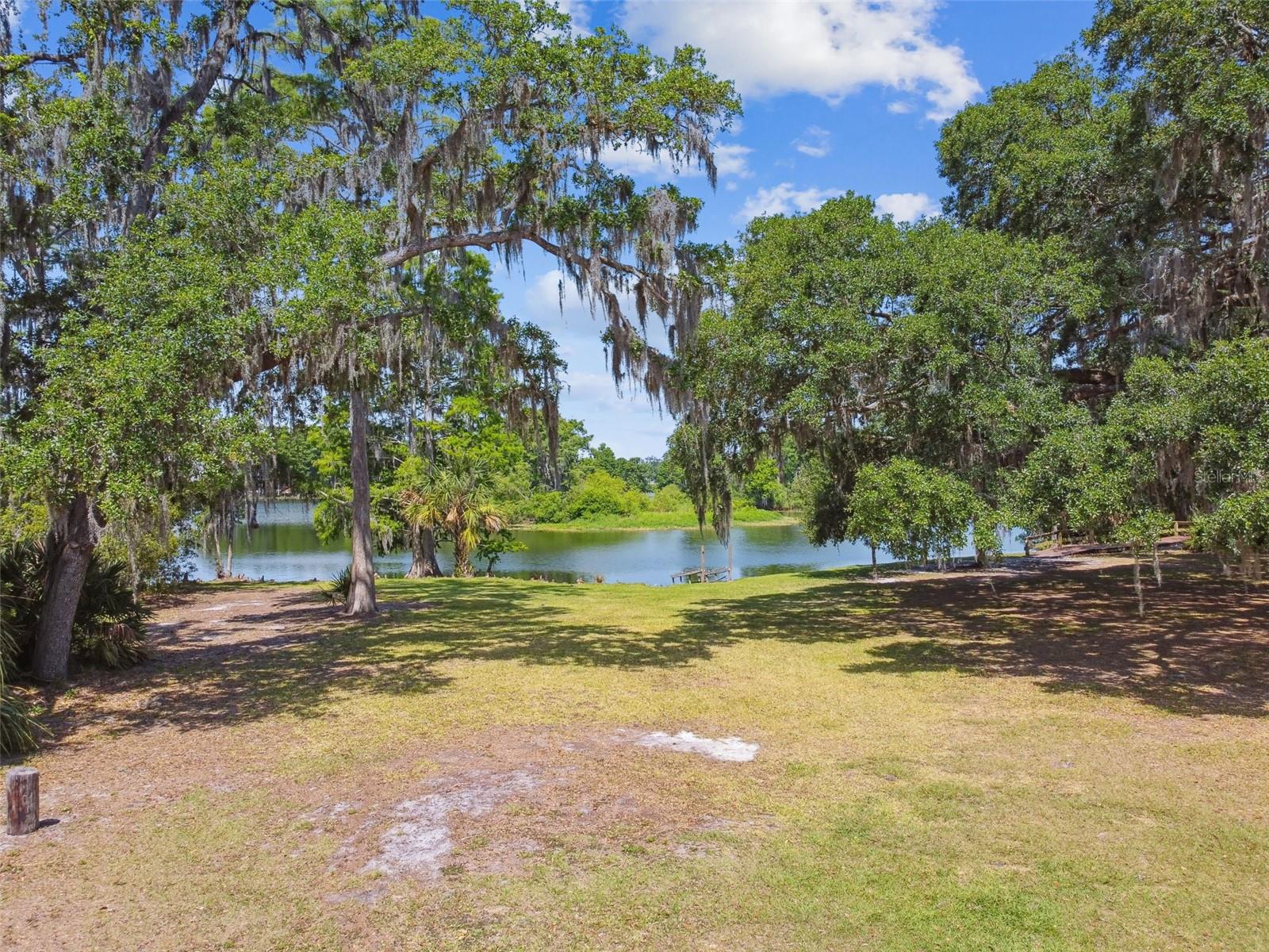 Scout Park
