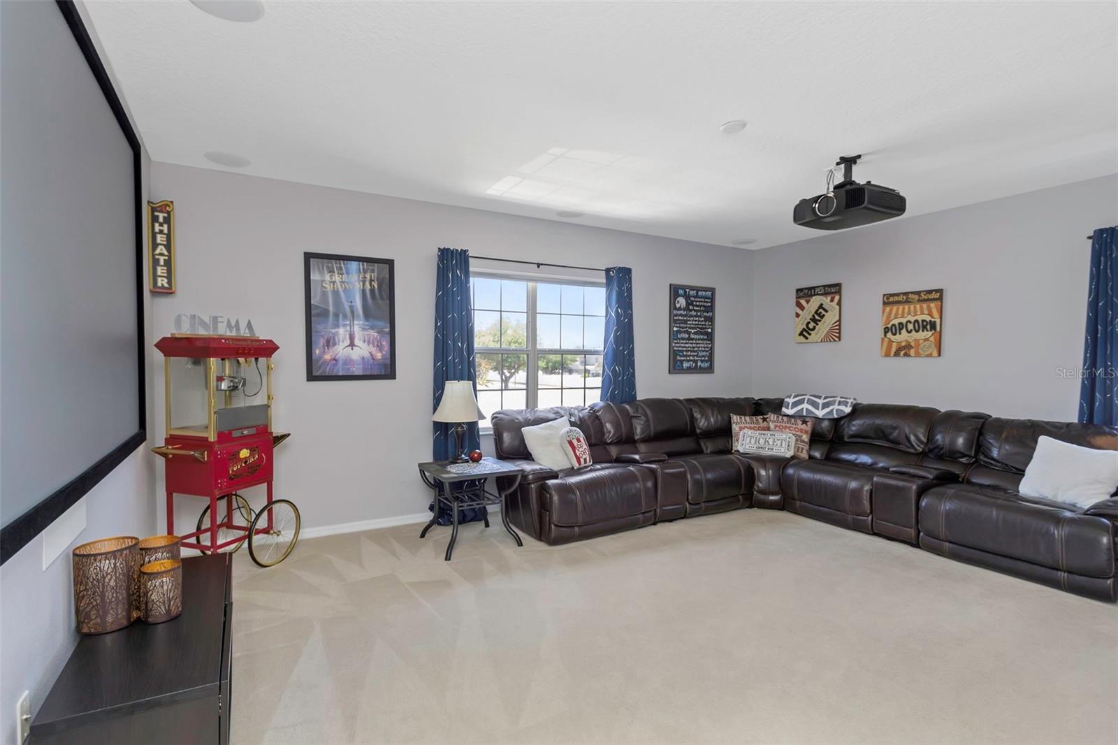 Amazing media room