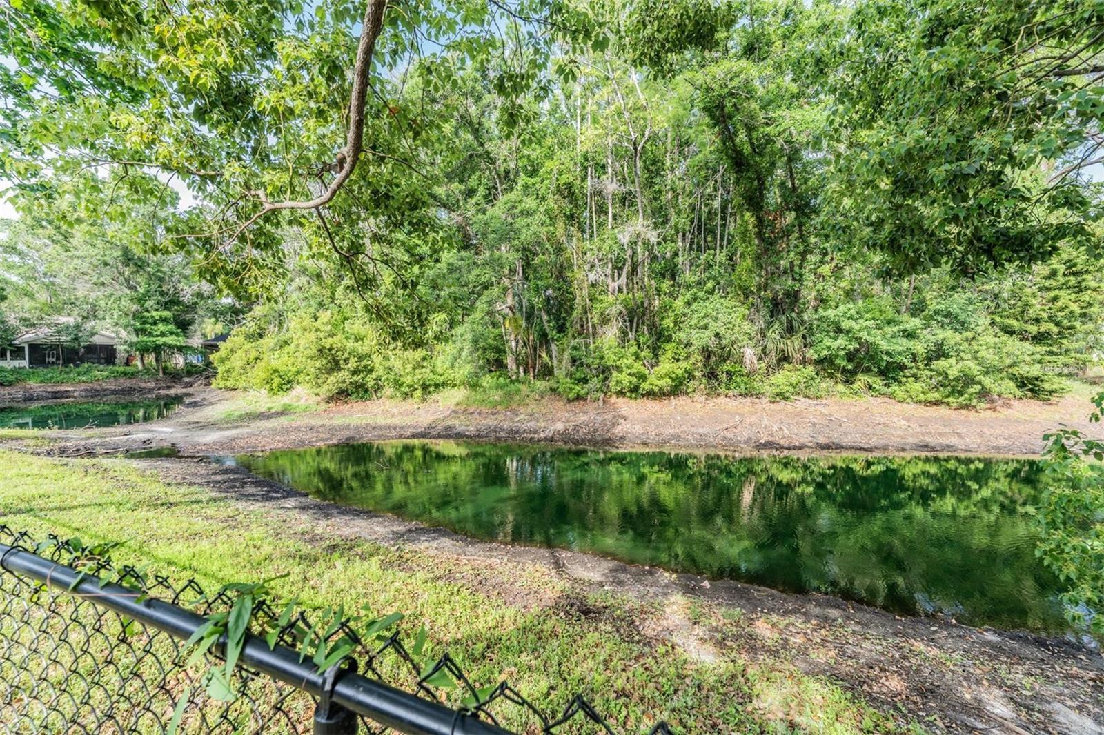 Pond is maintained and mowed by HOA.