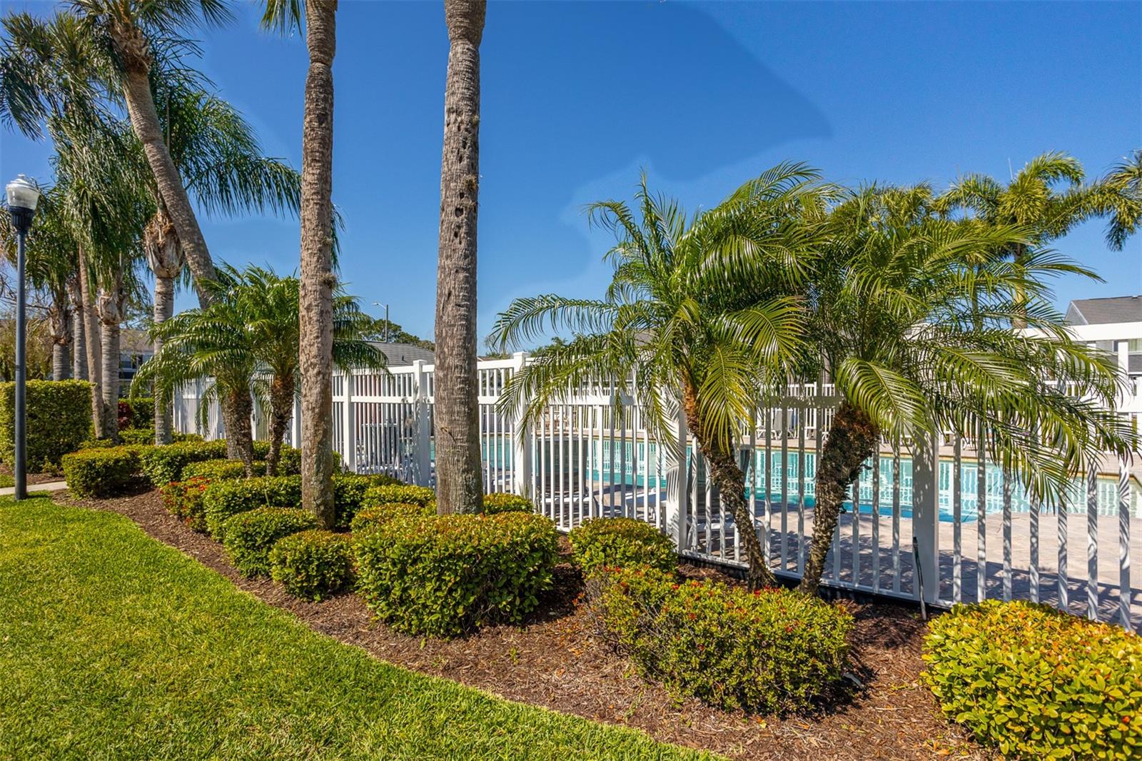 Amazing Pool landscaped and located just off the lake and the mailboxes
