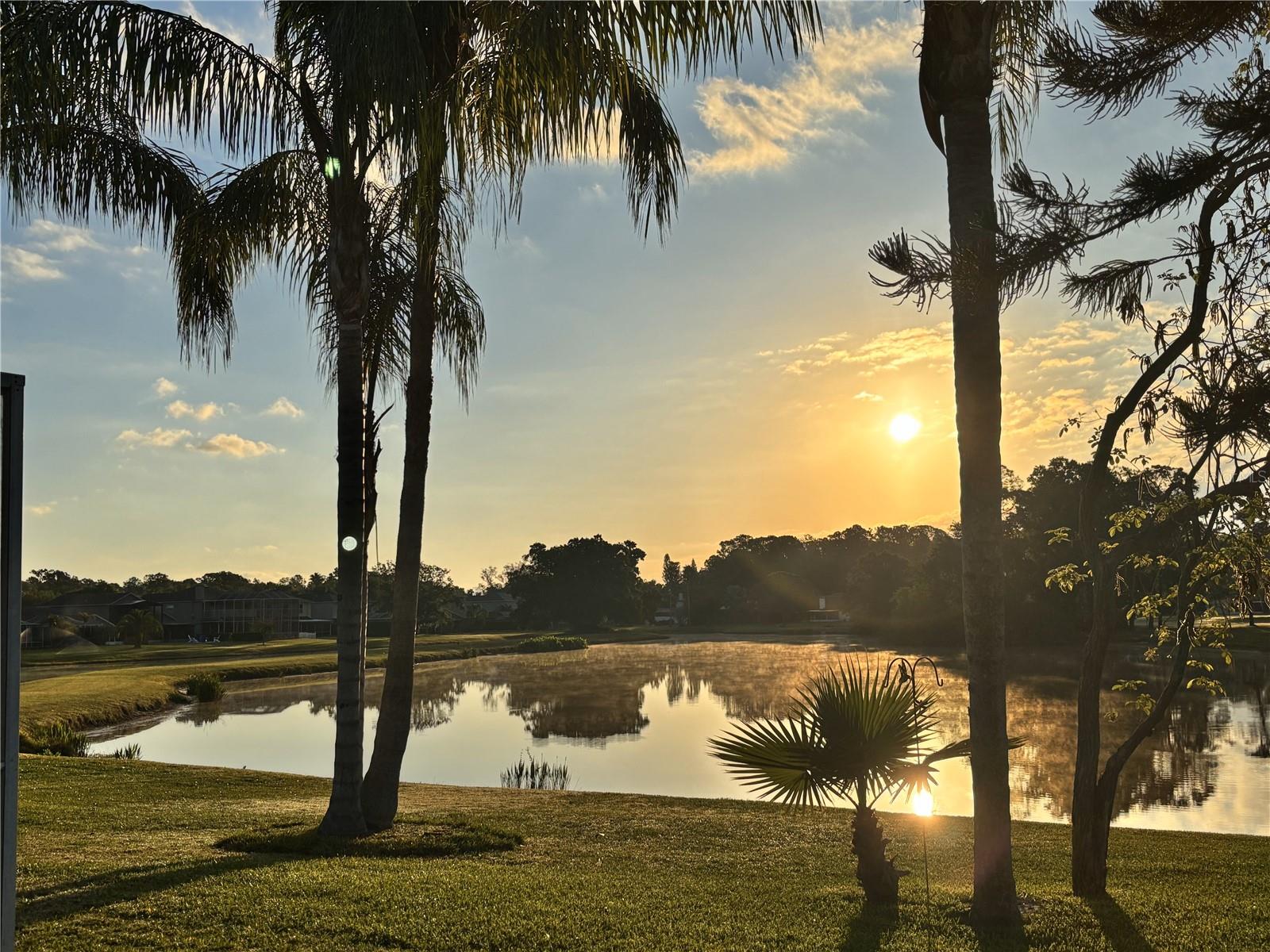 Back Porch Coffee View