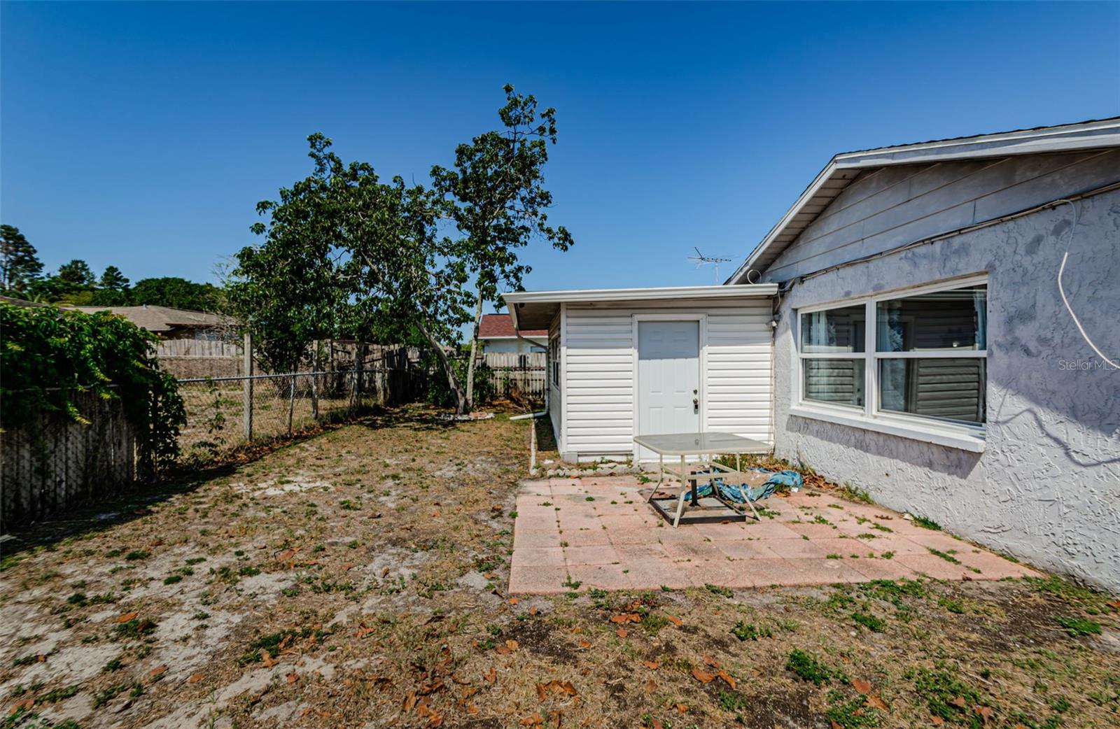 Backyard