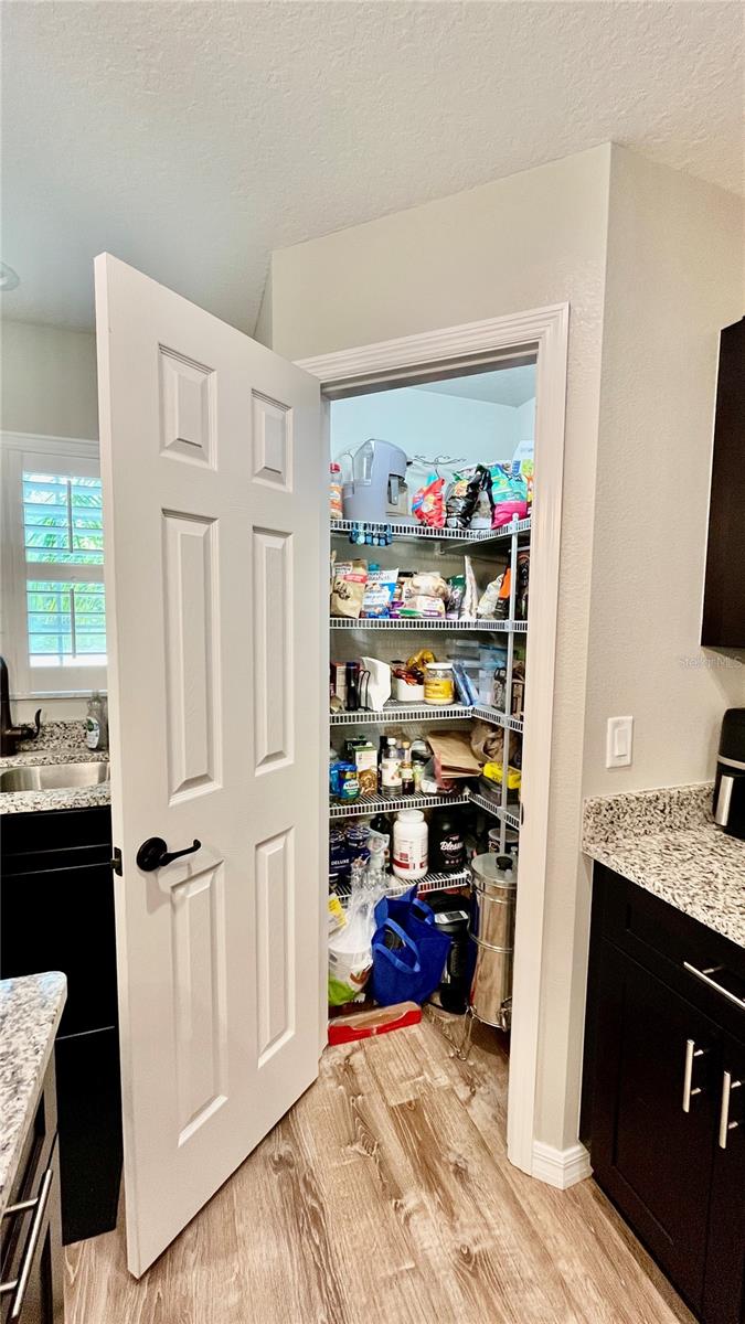 Kitchen walking pantry
