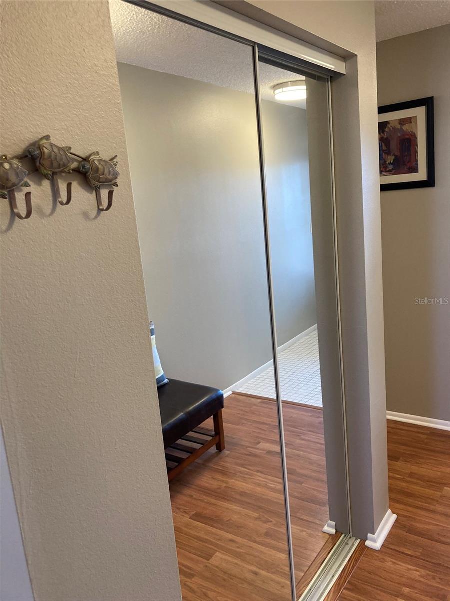 Storage closet in entryway