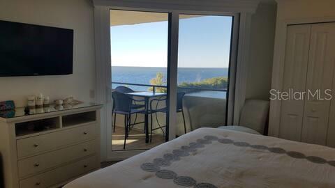 Master bedroom view