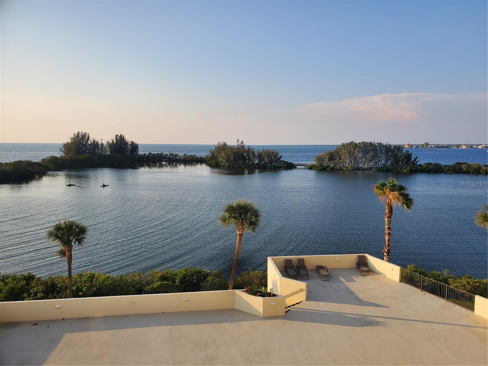 Watch dolphins play from the balcony