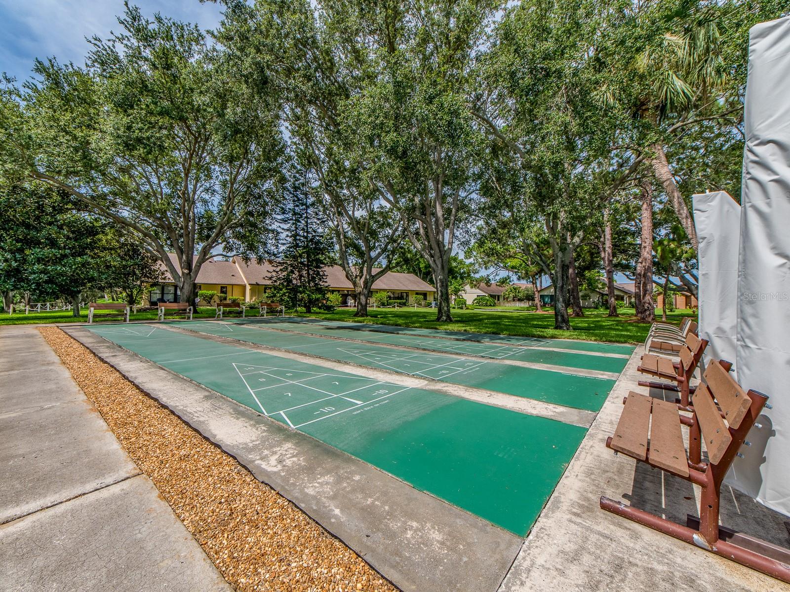 Shuffleboard?