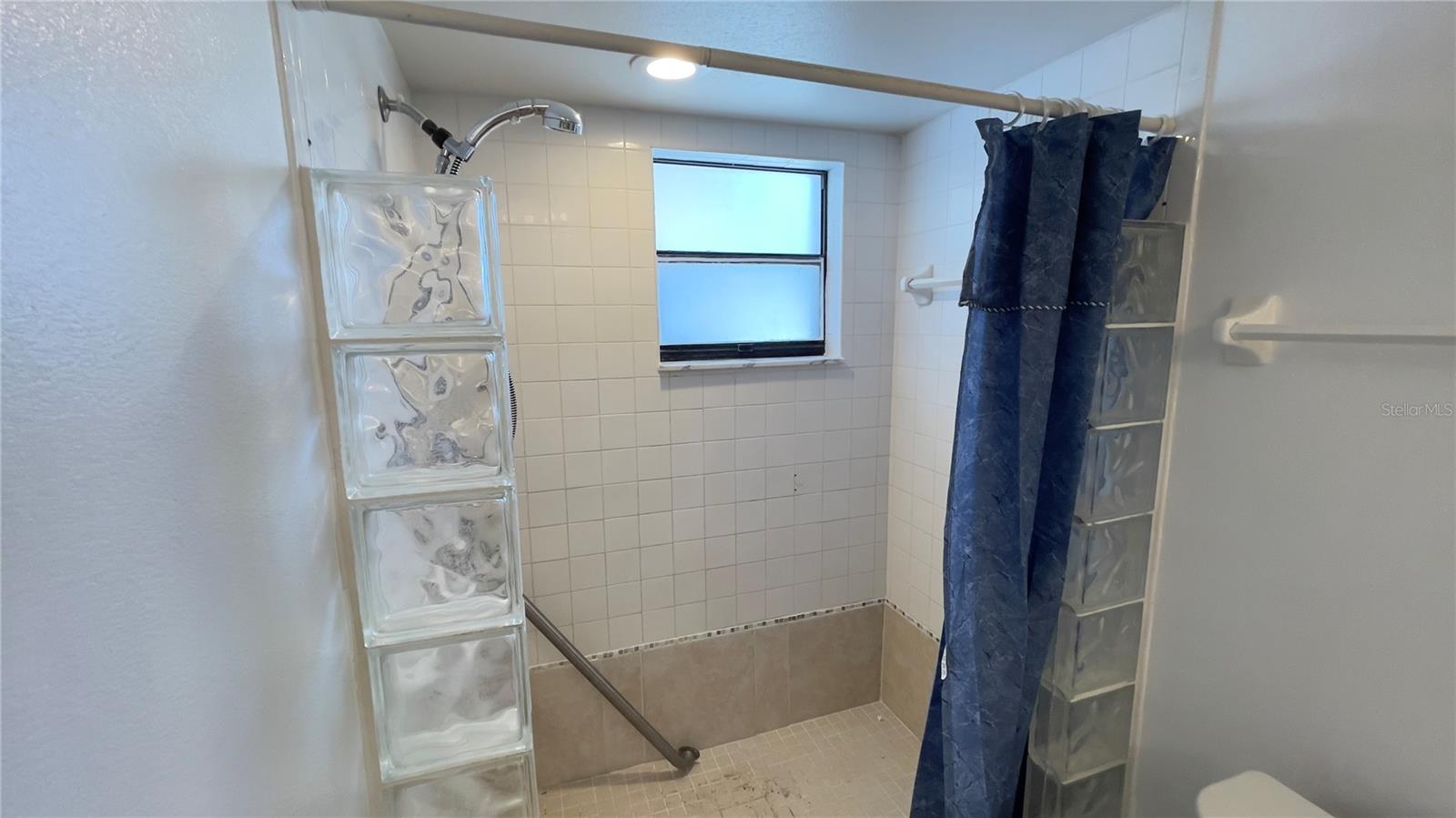 Primary Bathroom Shower