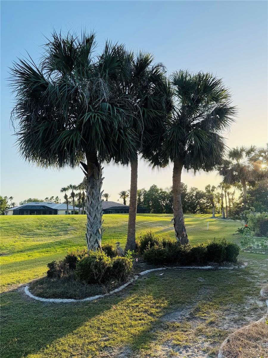 View from back patio