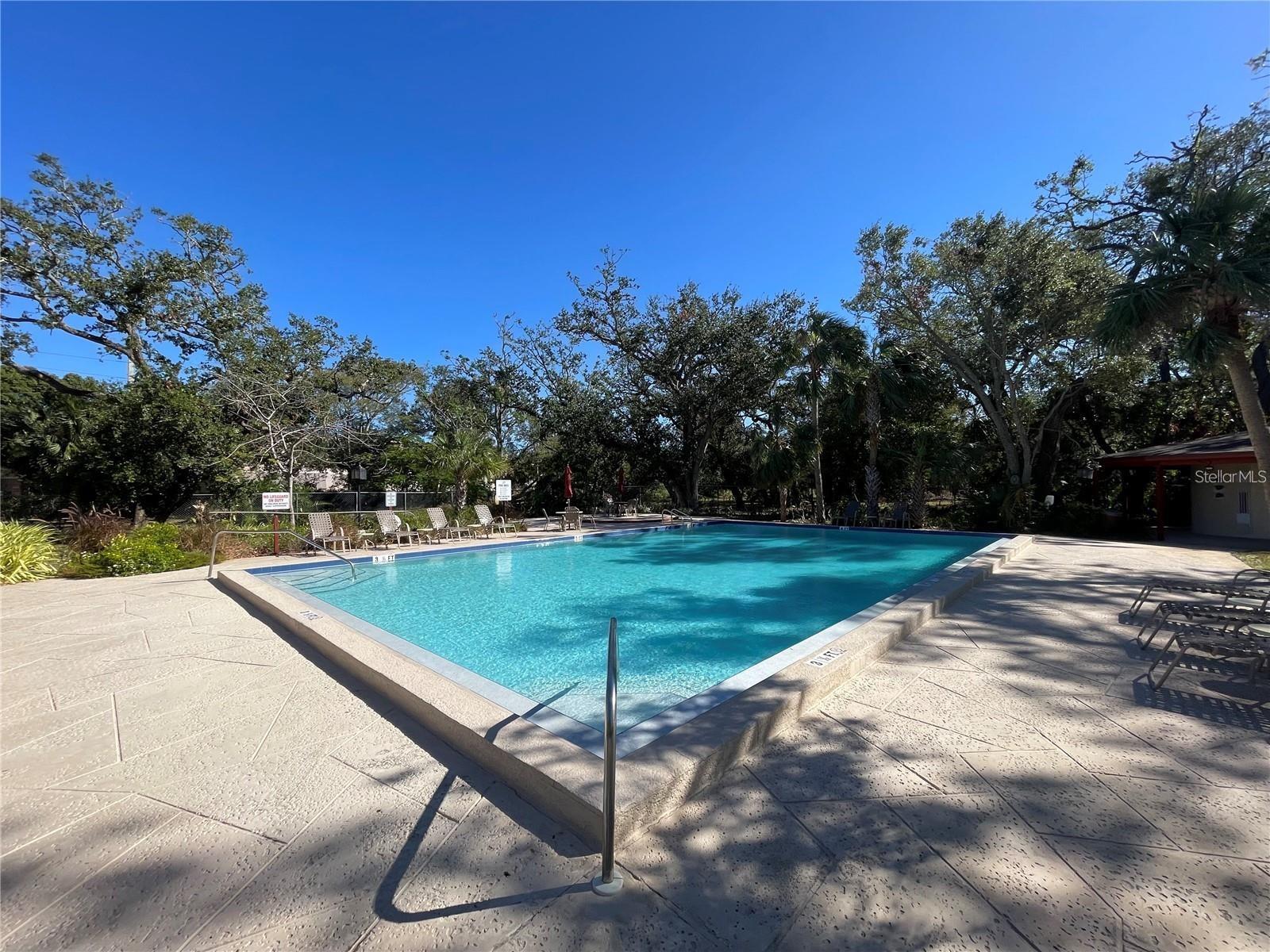 2699 SEVILLE BLVD UNIT 705CLEARWATER, FL 33764 - Pool