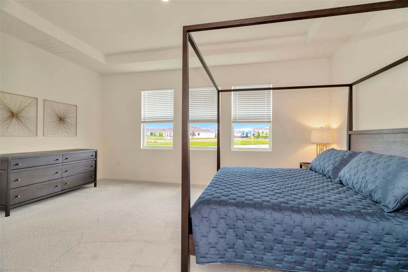 Primary Bedroom/Owner's suite