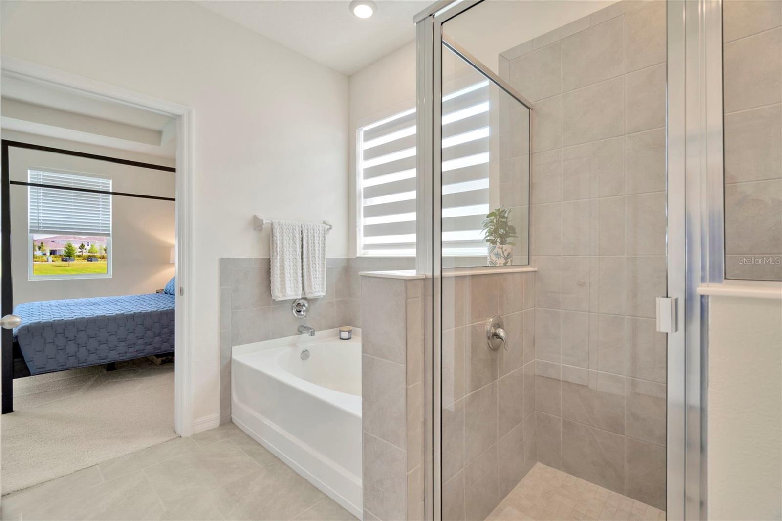 Separate tub and walk-in shower