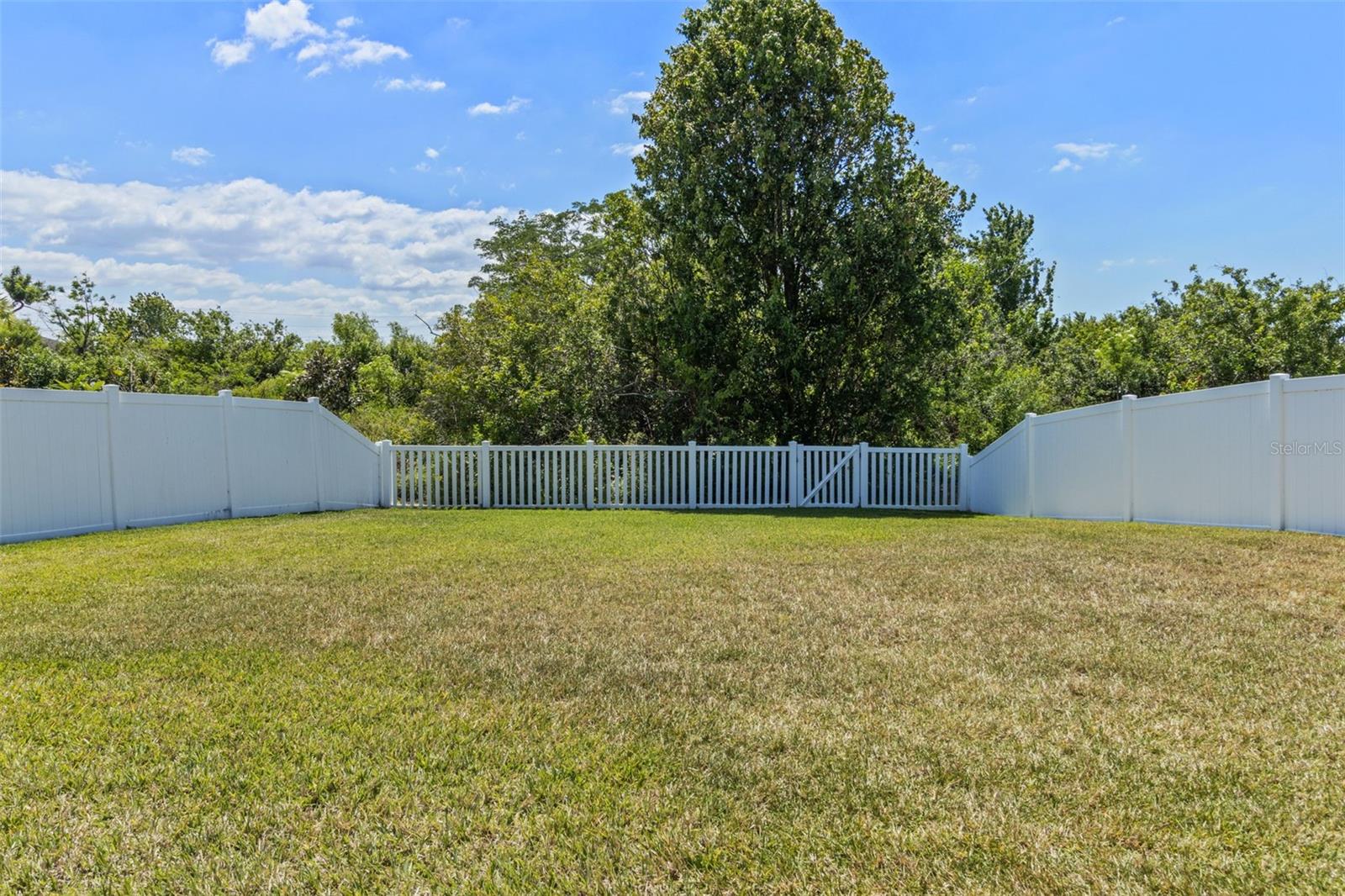 Backyard Privacy