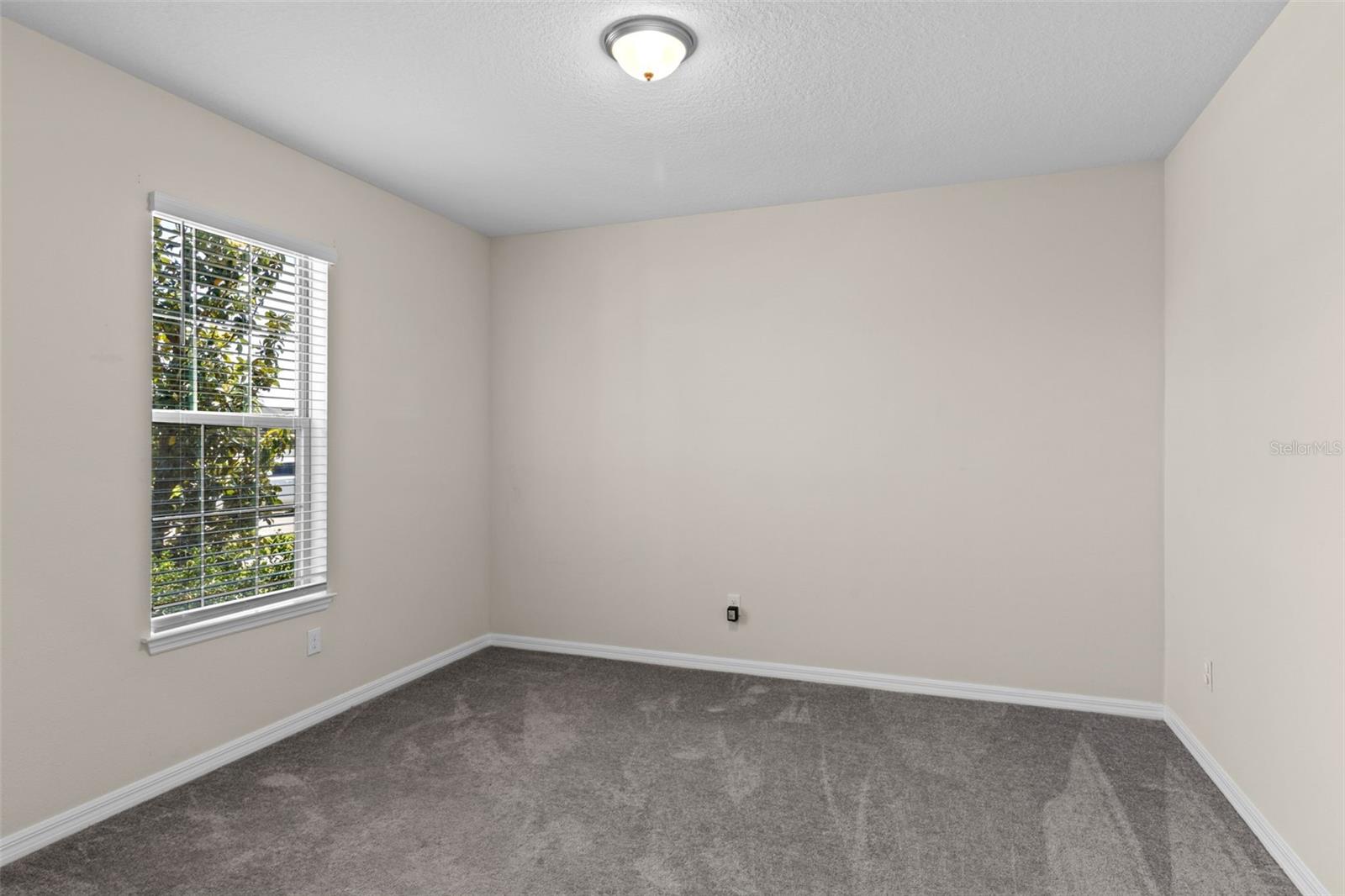 Bonus Room/Office