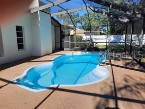 Another view of pool