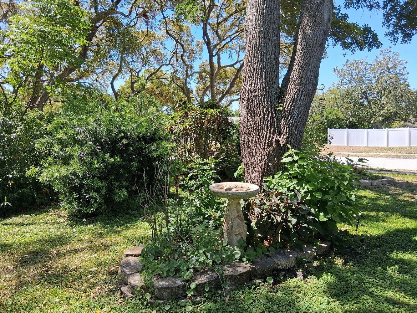 Peaceful backyard with plenty of green!