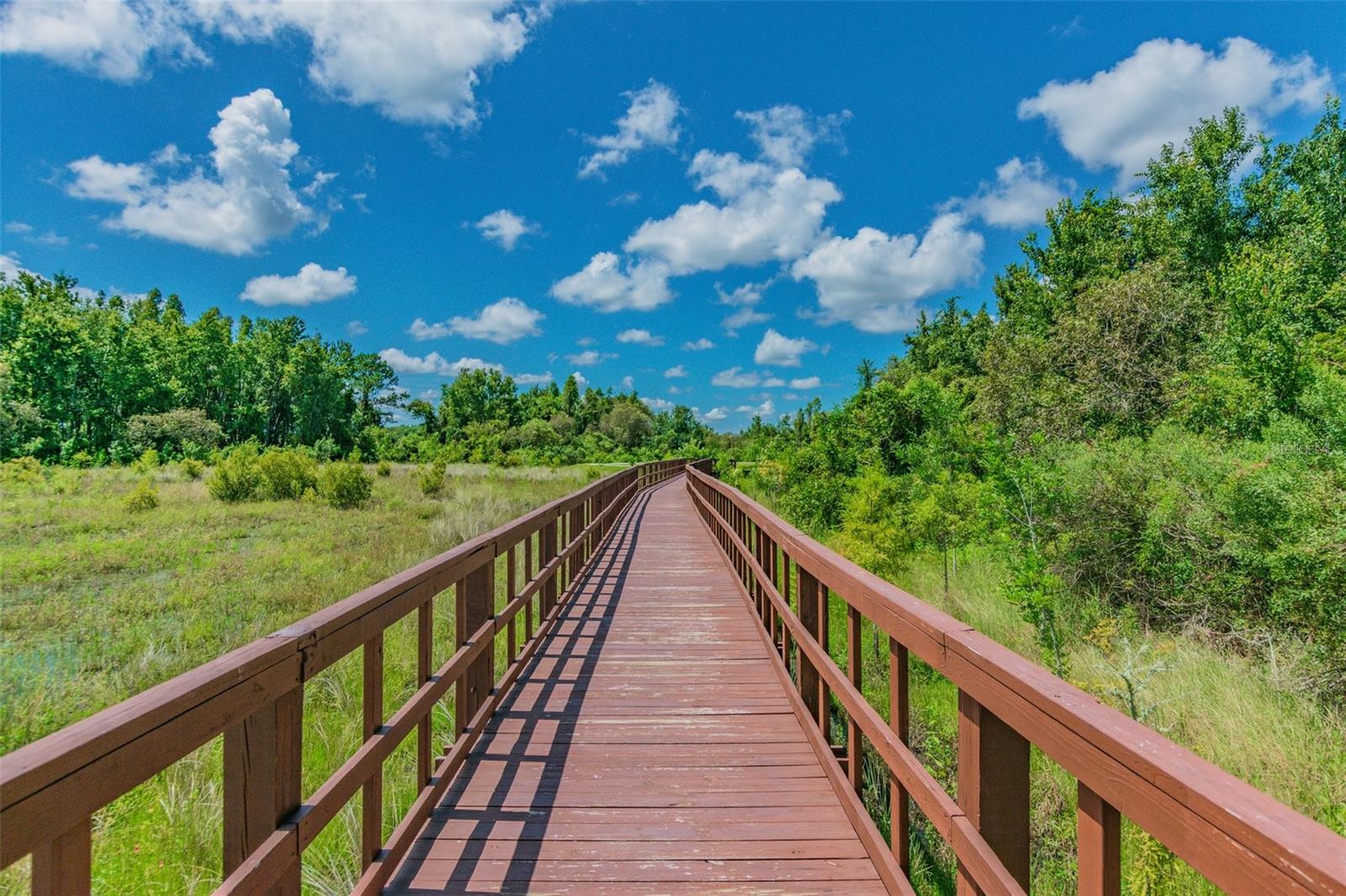 Walking Trails Throughout the Community