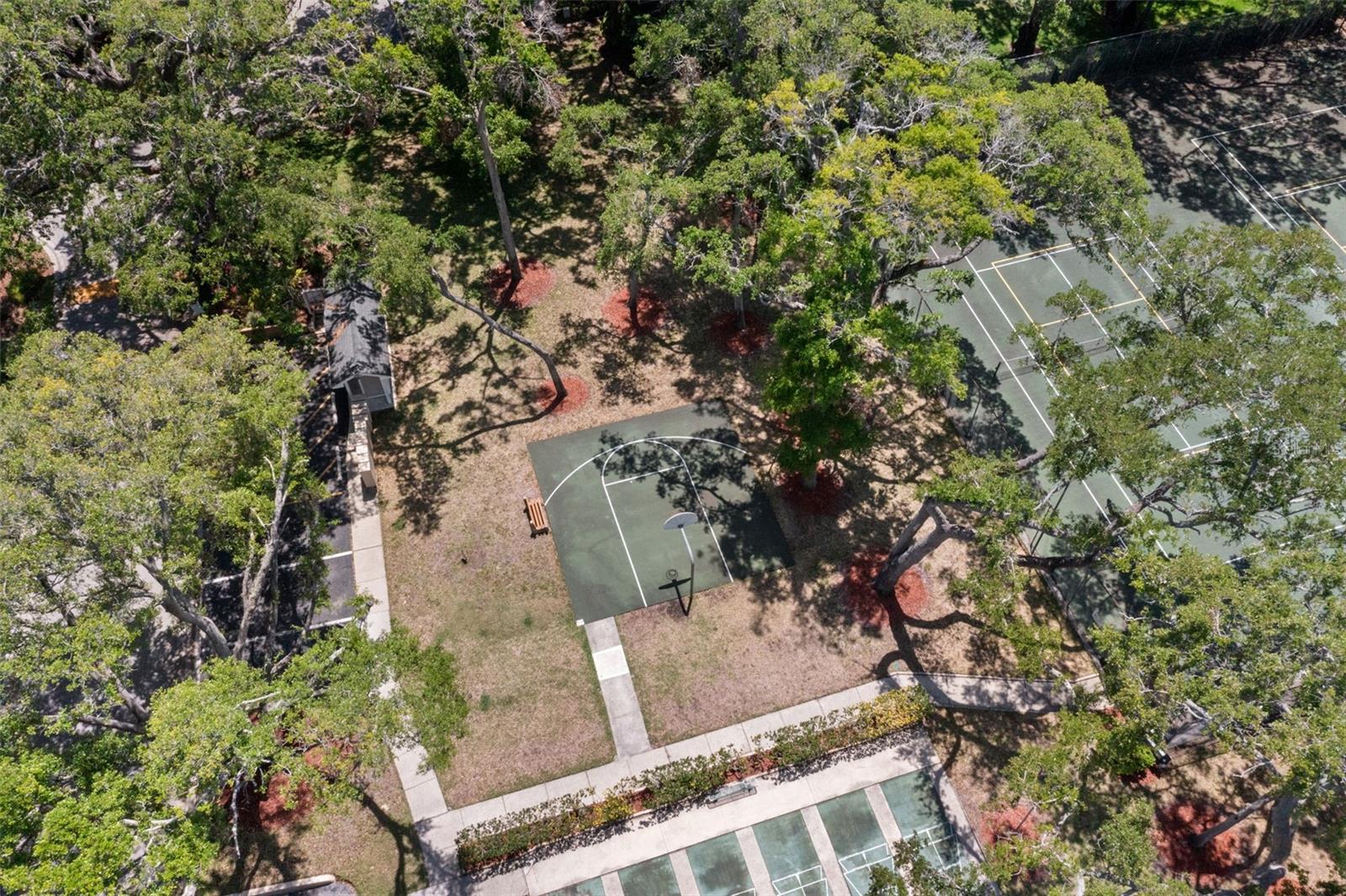Basketball court