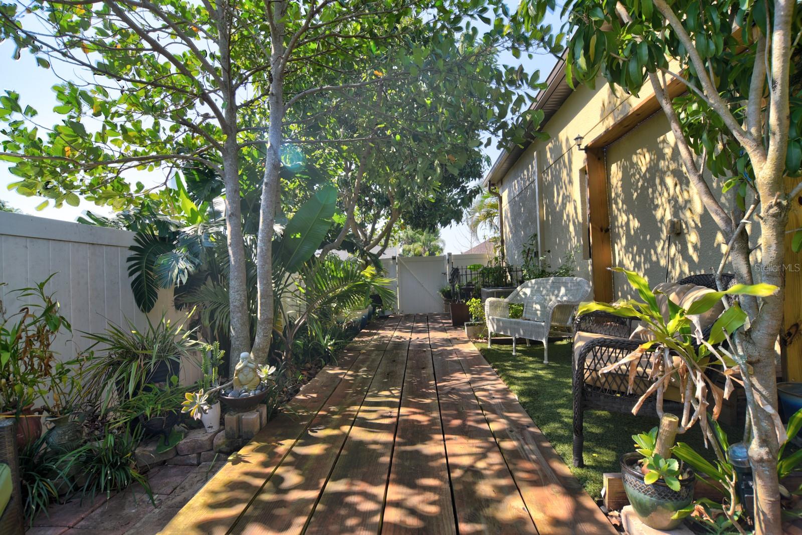 Side Yard