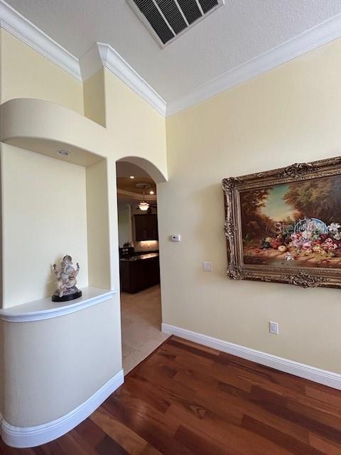 Custom Arches  & Niches lead into Gourmet Kitchen