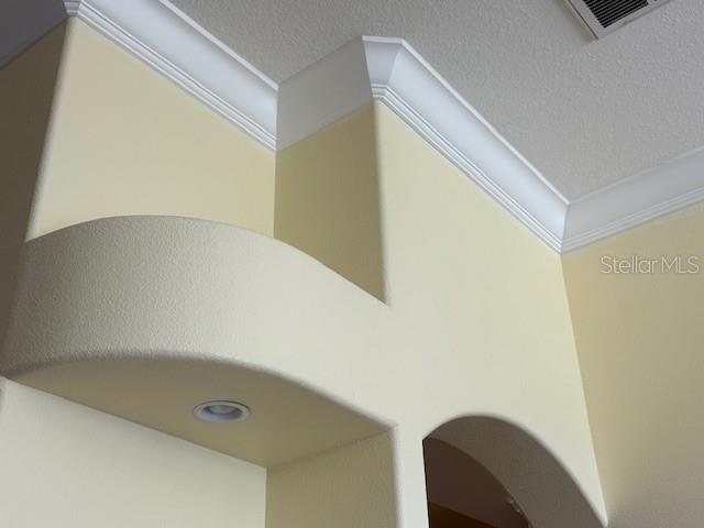Upgraded Custom Arches, Niches and Crown Moldings