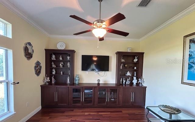 Media Room w/ Double Fans/Lighting