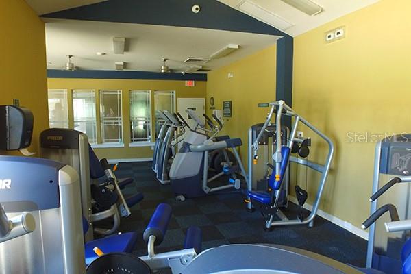 GYM