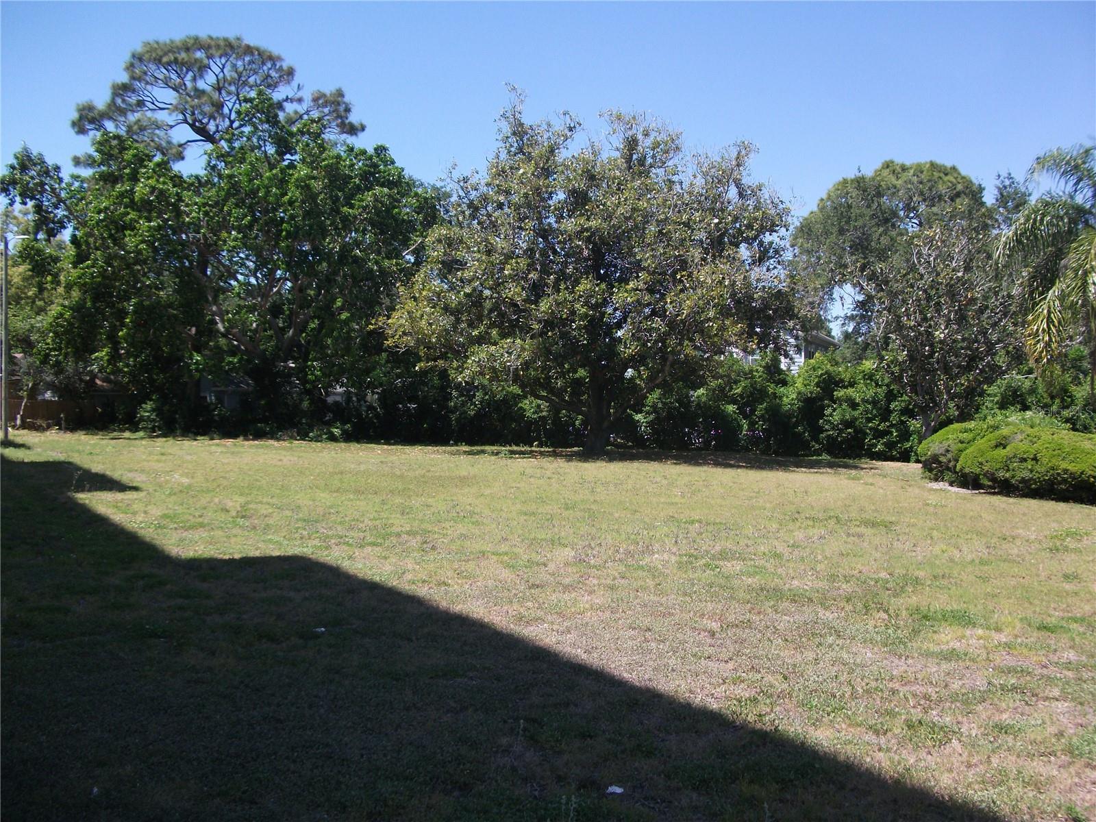 Back yard area